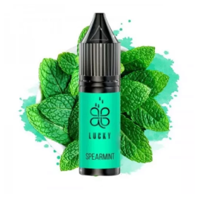 Жидкость Lucky Spearmint (Мятная Жвачка) 15мл 5% Felix Shop
