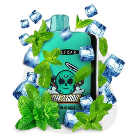 Электронная сигарета Elf Bar GH 23000 Polar Mint (Полярная Мята) Felix Shop