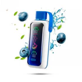 Электронная сигарета Vozol Star 20000 Blueberry Storm (Черника) Felix Shop