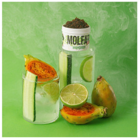Табак Molfar Virginia Line Гоу Фреш (Лимонад Огурец Кактус Лайм) 40 гр Felix Shop