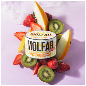 Табак Molfar Virginia Line Сонячна Диня (Дыня Киви Клубника) 40 гр Felix Shop