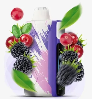 Электронная сигарета Elf Bar Ice King 30000 Blackberry Cranberry (Черника Клюква) Felix Shop